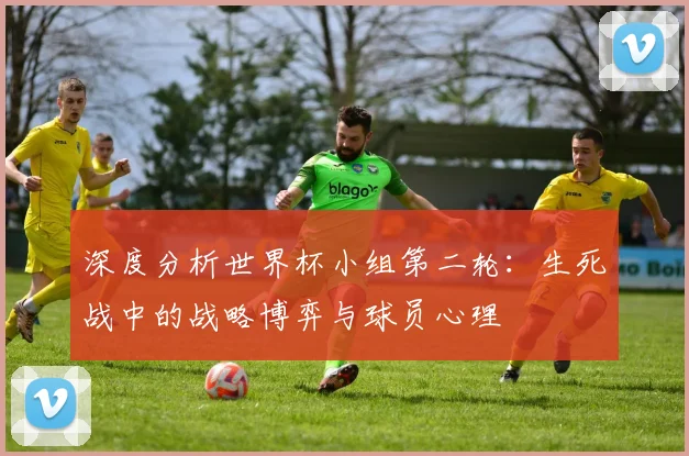 深度分析世界杯小组第二轮:生死战中的战略博弈与球员心理