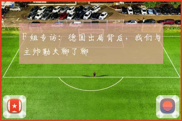 F 组专访：德国出局背后，我们与主帅勒夫聊了聊