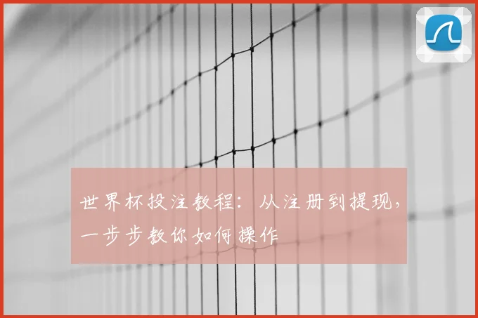 世界杯投注教程：从注册到提现，一步步教你如何操作