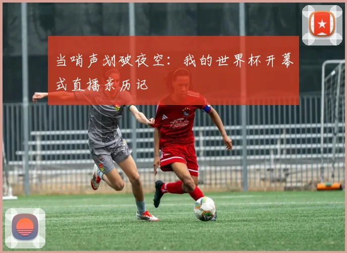 当哨声划破夜空：我的世界杯开幕式直播亲历记