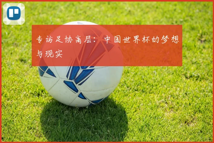 专访足协高层：中国世界杯的梦想与现实