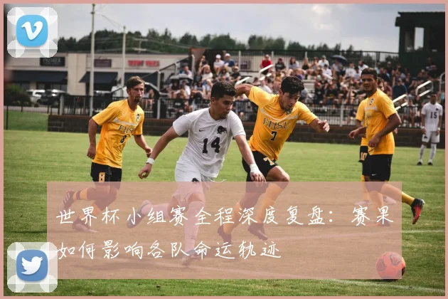 世界杯小组赛全程深度复盘：赛果如何影响各队命运轨迹