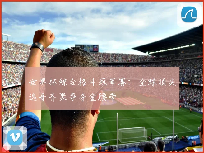 世界杯综合格斗冠军赛：全球顶尖选手齐聚争夺金腰带