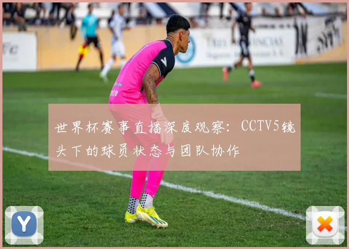 世界杯赛事直播深度观察：CCTV5镜头下的球员状态与团队协作