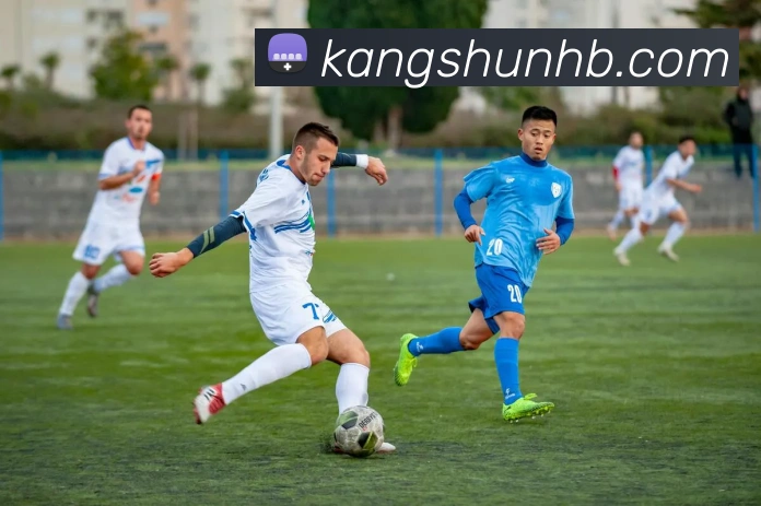 up体育官网全站App